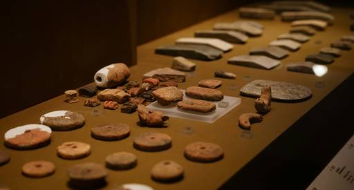 Stock photograph of ancient bone dice and weathered coins displayed in a museum case, representing early tools of randomness